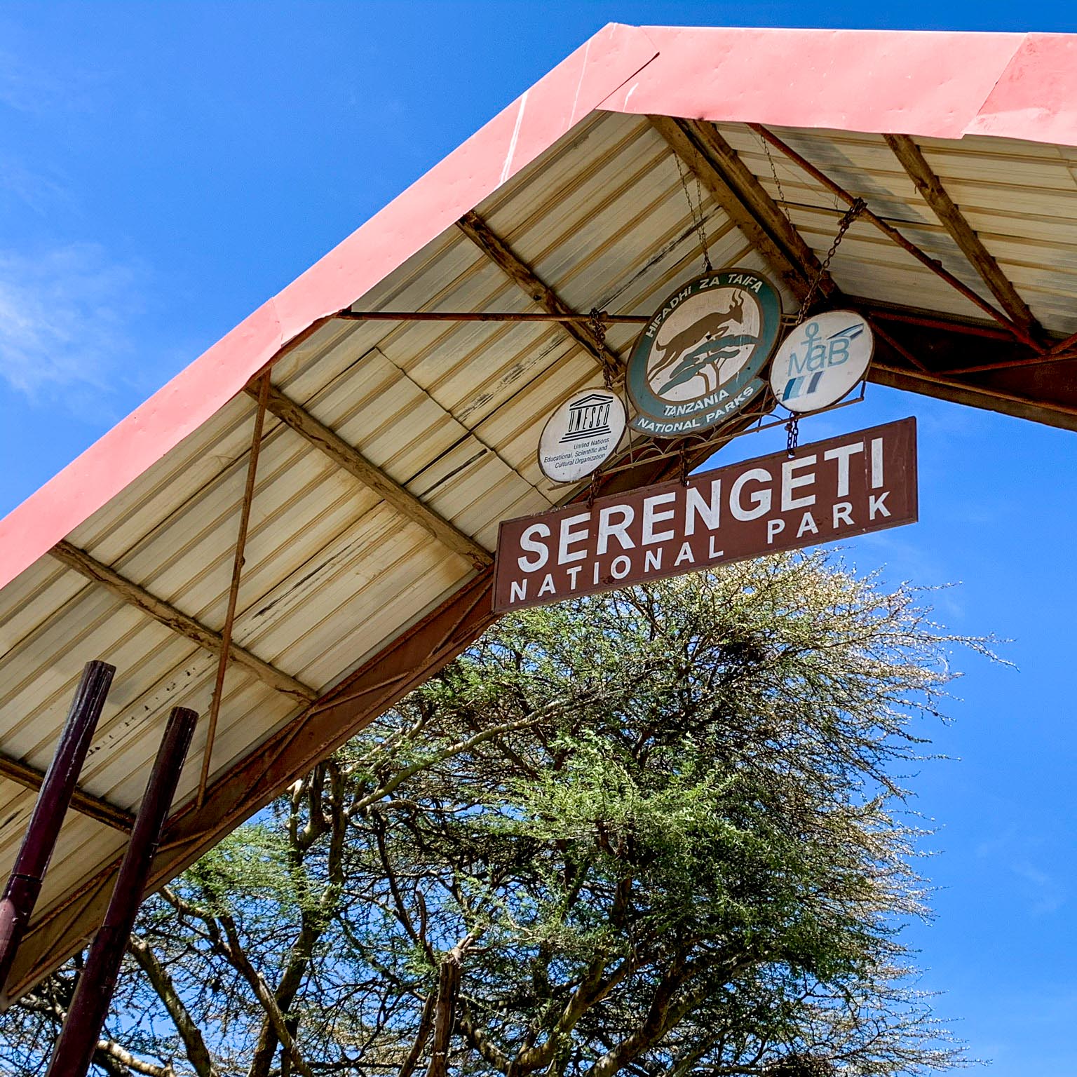 Foresight Ecolodge & Safari – Serengeti Entrance