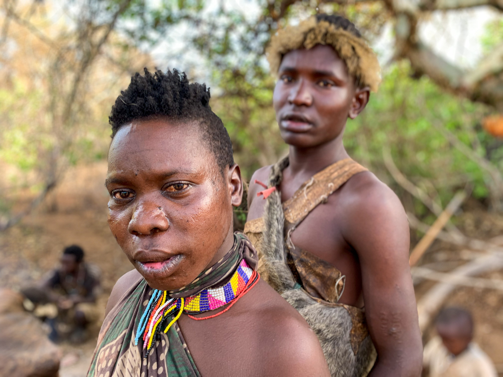 Foresight Ecolodge & Safari – Bushman