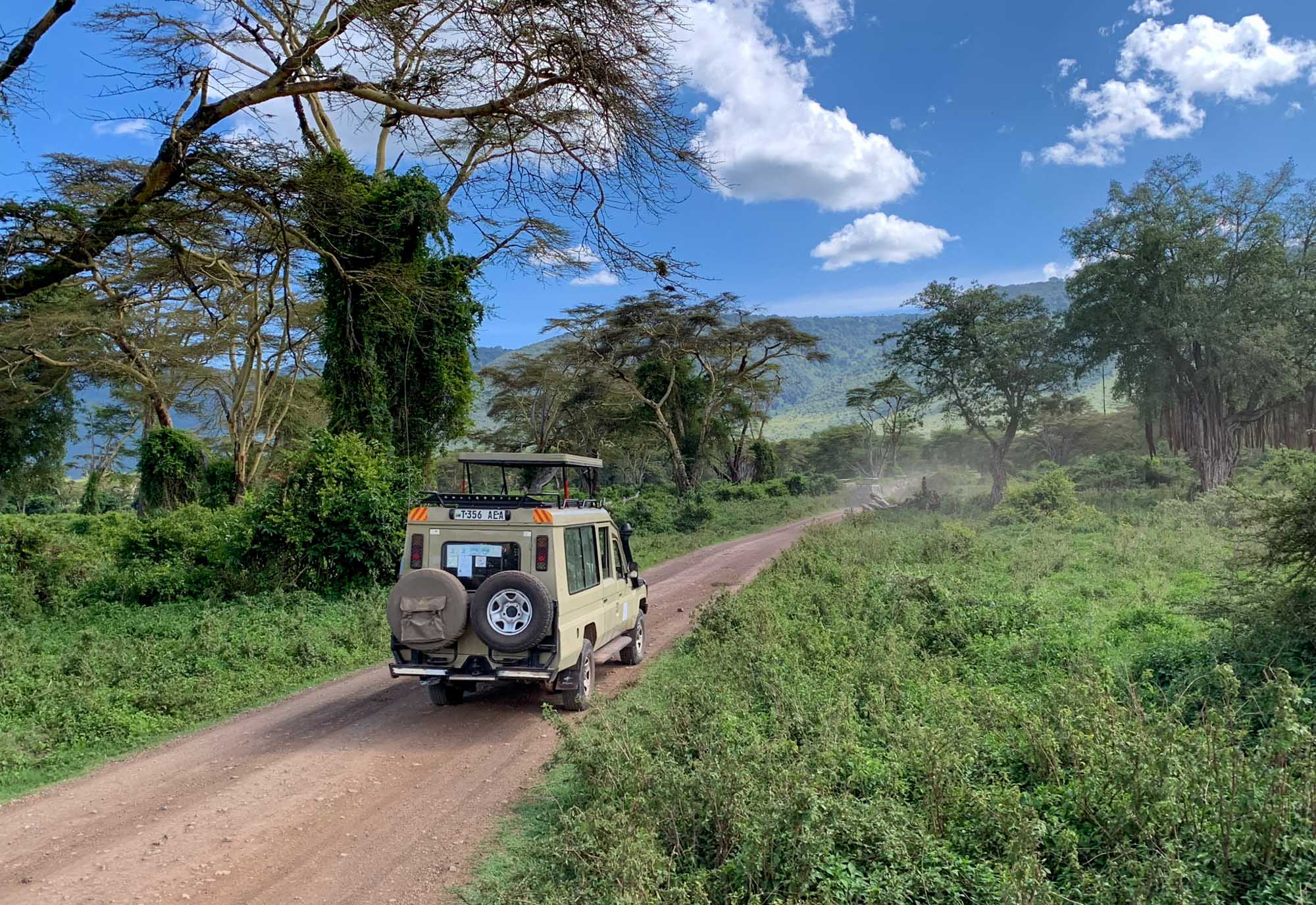 esight Ecolodge & Safari – Ngorongoro Crater